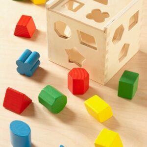 Puzzle Solving Toys